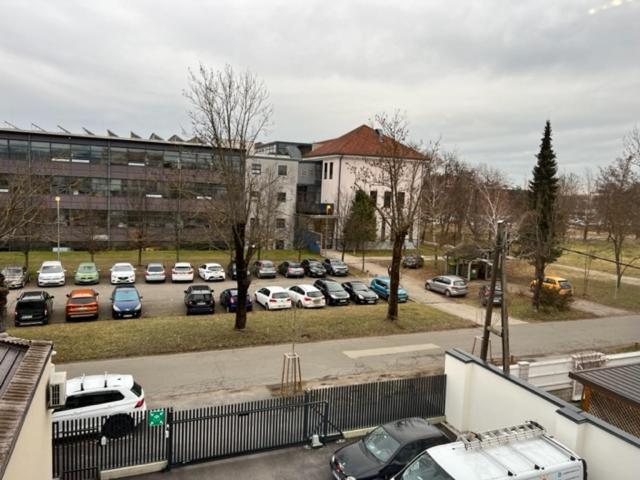Villa Magdalena Apartments & Rooms 马里博尔 外观 照片